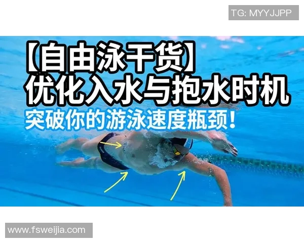 自由泳初学者必备技巧与训练建议助你快速入门提高游泳水平